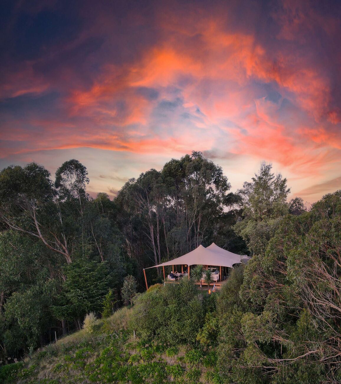 An EcoPod on a forested hillside at sunset